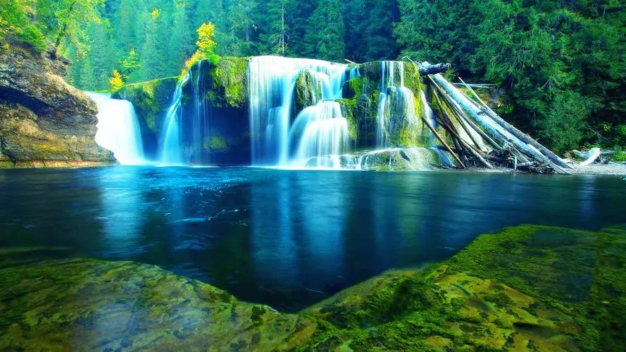 科技全自动
